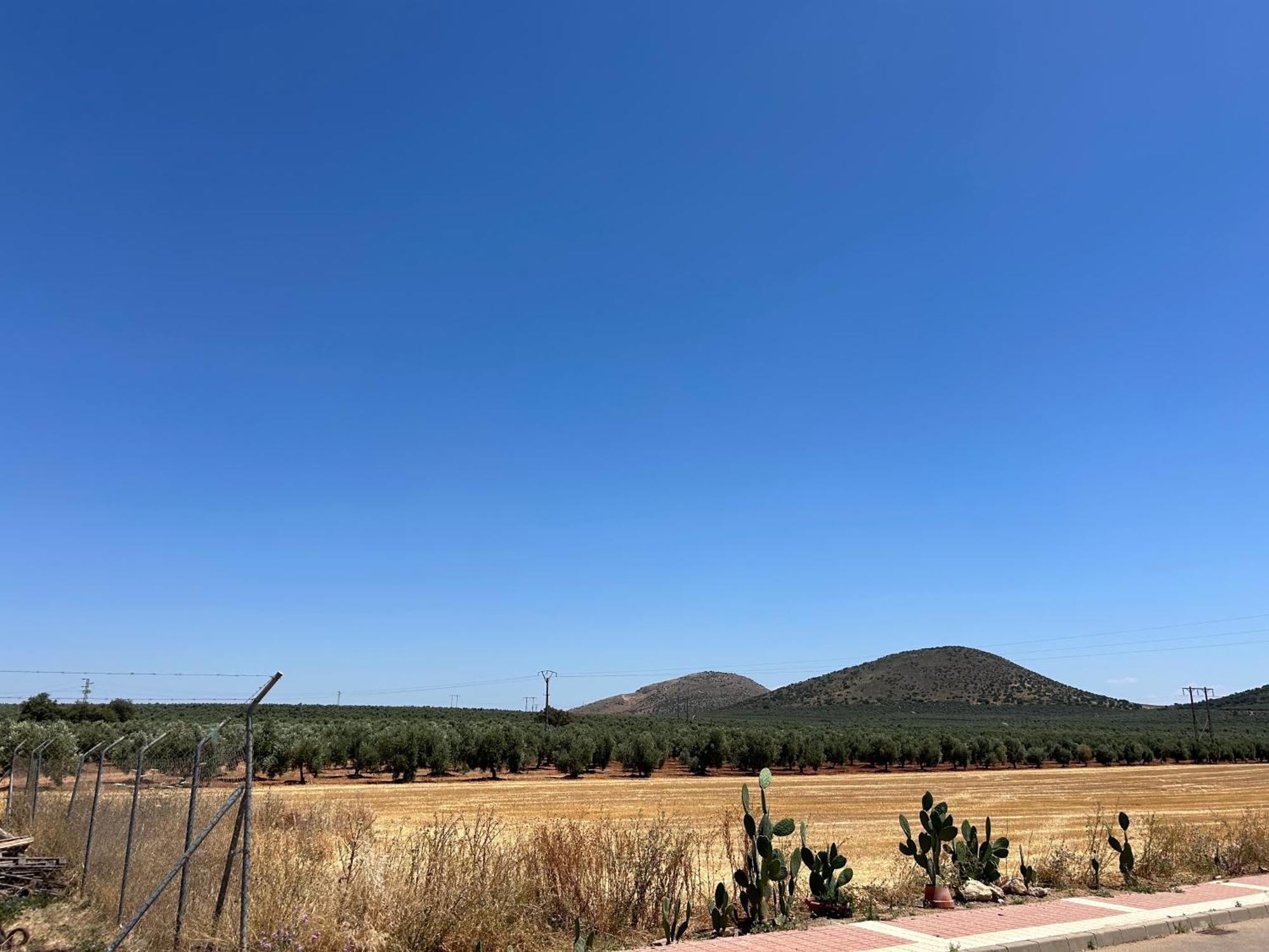 La Casita De Blanca Villa Los Perez Dış mekan fotoğraf